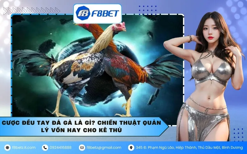 Cược Đều Tay Đá Gà Là Gì? Chiến Thuật Quản Lý Vốn Hay Cho Kê Thủ